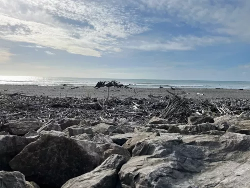 25/26 March 2025 - New Zealand, Honiker to Christchurch via the trans alpine train - Hokitika