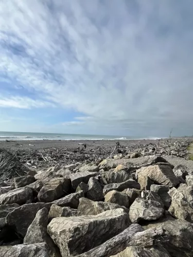 25/26 March 2025 - New Zealand, Honiker to Christchurch via the trans alpine train - Hokitika