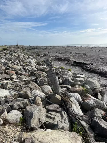 25/26 March 2025 - New Zealand, Honiker to Christchurch via the trans alpine train - Hokitika