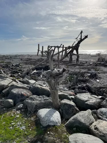 25/26 March 2025 - New Zealand, Honiker to Christchurch via the trans alpine train - Hokitika