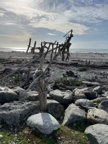 25/26 March 2025 - New Zealand, Honiker to Christchurch via the trans alpine train - Hokitika