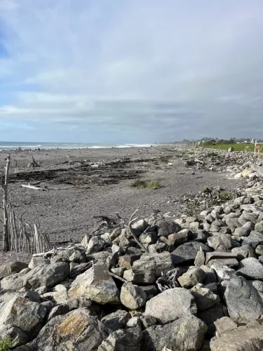 25/26 March 2025 - New Zealand, Honiker to Christchurch via the trans alpine train - Hokitika