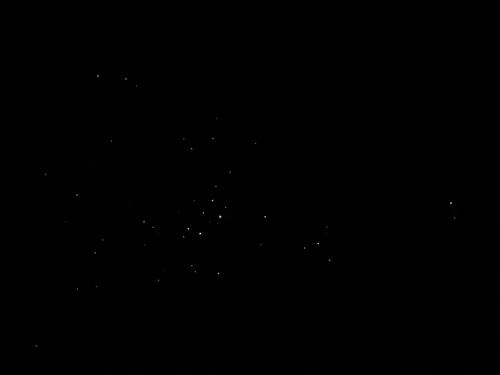 25/26 March 2025 - New Zealand, Honiker to Christchurch via the trans alpine train - Glow worms