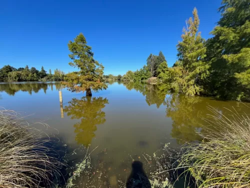 27 - 30 March kiakoura New Zealand