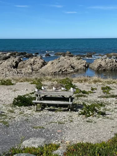 27 - 30 March kiakoura New Zealand