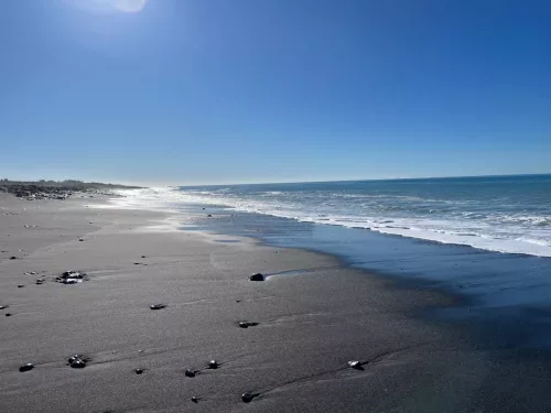 27 - 30 March kiakoura New Zealand