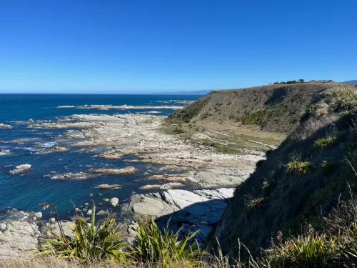 27 - 30 March kiakoura New Zealand