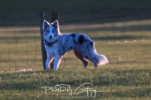 24 Jan 2026 - Walking Skye
