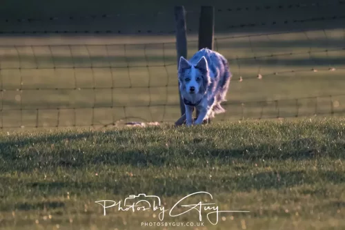 24 Jan 2026 - Walking Skye