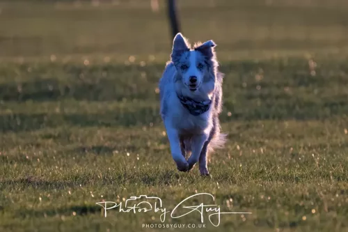 24 Jan 2026 - Walking Skye