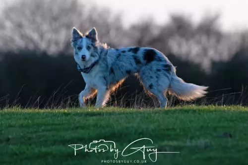 24 Jan 2026 - Walking Skye