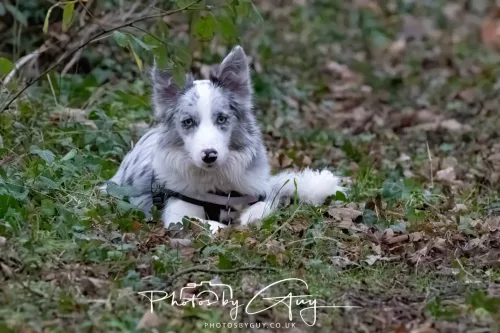 23 December 2025 Parkside, Cumbria - Skye