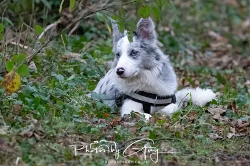 23 December 2025 Parkside, Cumbria - Skye