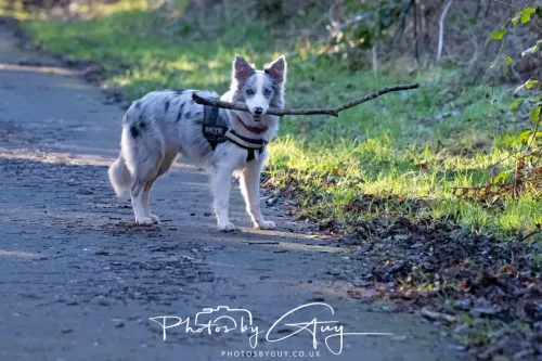 30 December 2025 - Parkside, Cleator Moor, Cumbria - Skye