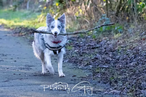 25 December 2025, Parkside, Cumbria, Christmas Day - Skye