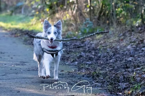 25 December 2025, Parkside, Cumbria, Christmas Day - Skye