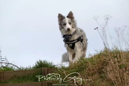 03 January 2026 - Sale Fell, Cumbria 