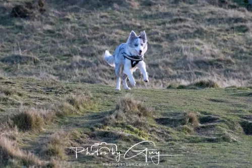 03 January 2026 - Sale Fell, Cumbria 