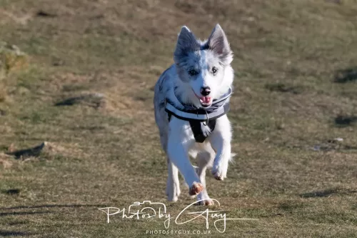 03 January 2026 - Sale Fell, Cumbria 