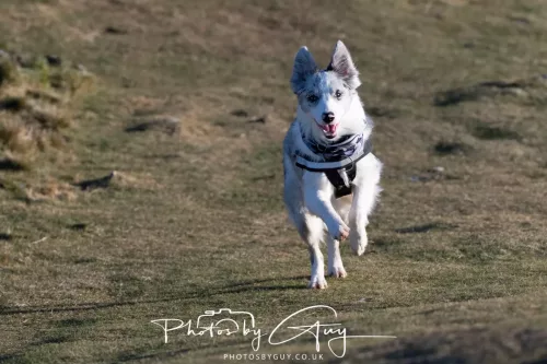 03 January 2026 - Sale Fell, Cumbria 