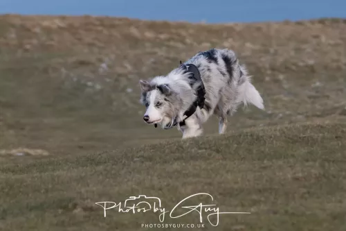 03 January 2026 - Sale Fell, Cumbria 