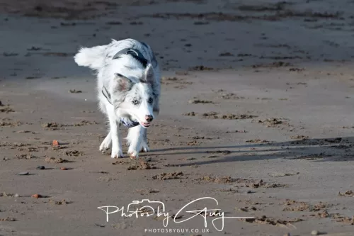 24 Jan 2026 - Whitehaven harbour walk