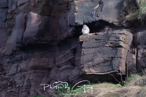 24 Jan 2026 - Whitehaven harbour walk