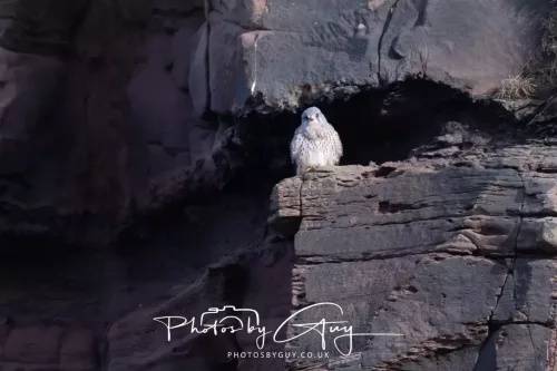 24 Jan 2026 - Whitehaven harbour walk