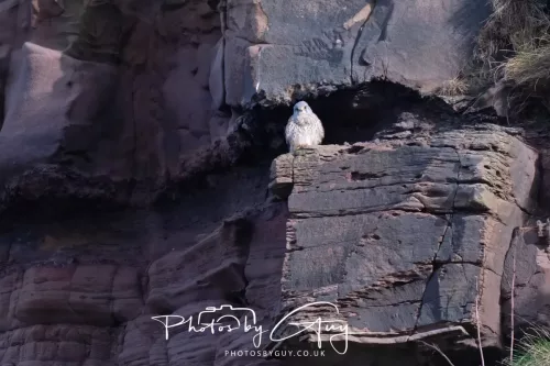 24 Jan 2026 - Whitehaven harbour walk