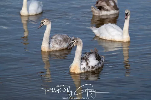 24 Jan 2026 - Whitehaven harbour walk