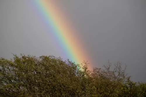 09 April 2026 - West Cumbria, Near Cleator Moor -rainbow