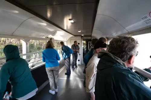 25/26 March 2025 - New Zealand, Honiker to Christchurch via the trans alpine train - Trans alpine train