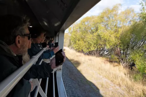 25/26 March 2025 - New Zealand, Honiker to Christchurch via the trans alpine train - Trans alpine train