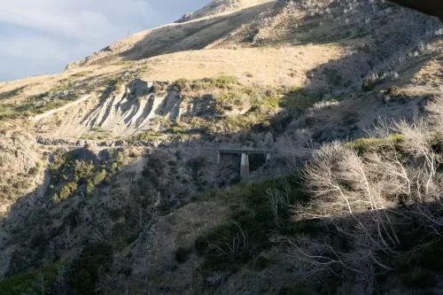 25/26 March 2025 - New Zealand, Honiker to Christchurch via the trans alpine train