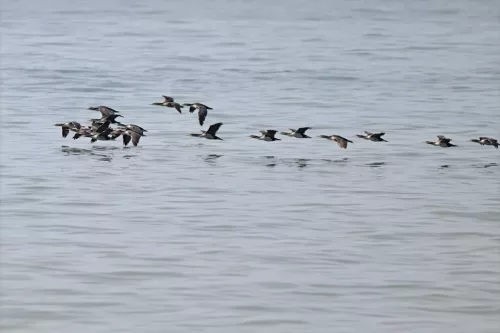 27 - 30 March kiakoura New Zealand